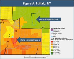 Buffalo investment risk